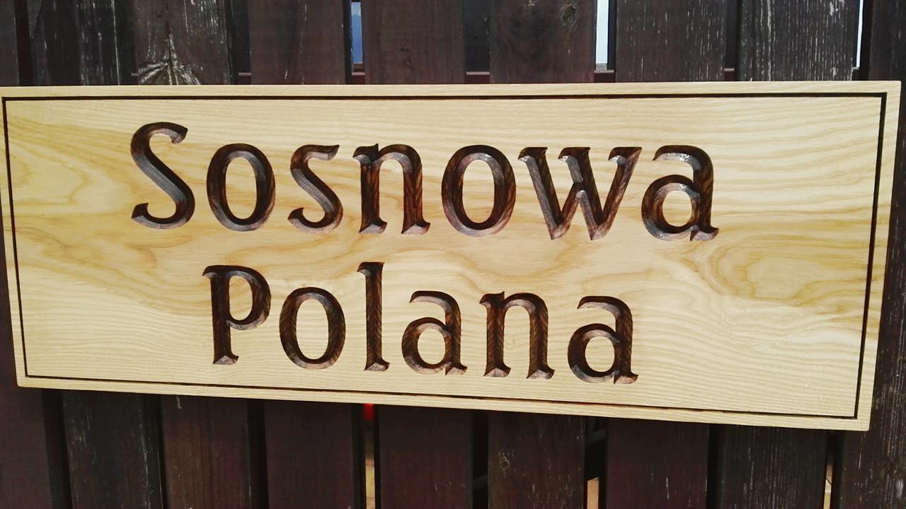 Sosnowa Polana Беловеж Экстерьер фото